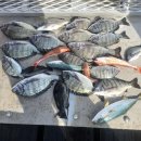 남해바다풍경 이미지