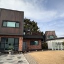 조앤리주