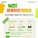 합천박물관 이미지