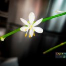 포항중앙고등학교 이미지