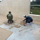 덕진-100 이미지