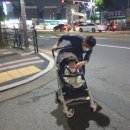 피자스쿨 부천역점 | 피자스쿨 치킨퀘사디아 피자(처음먹은후기), 심곡천 산책