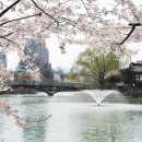 드림파크 이미지