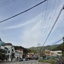 종합터미널 버스정류장(685) 이미지