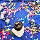 아이파크플레이존 | 구로 고척 정글아이 재밌다! 오감통합 놀이 가격 후기 주차정보