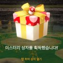 마리블룸 | 방구석에서 피크민블룸 예쁜 엽서 얻기 | 2025 피크민 블룸 저니 : 챌린지 애니웨어 후기