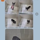 에뚜왈 이미지
