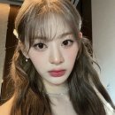 베이지베이지 이미지