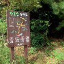 방울산등산로 이미지