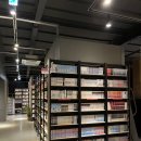 지구오락실(복합-14) | [광주 상무지구 놀거리] 머든 :: 주차 / 놀거리 가득한 복합카페에서 힐링하기