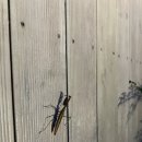 스테이담안 이미지