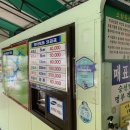 소양호모타보트