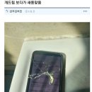 새똥 맞고 로또 3등 당첨된 사람 이미지