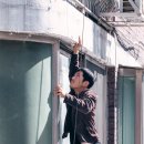 파파피나 이미지