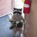 어서타개 이미지