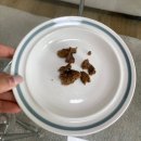 대구 강아지 수제간식/케이크 전문점, 댕스투유 미니케이크