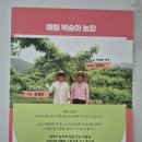 예원농장 | 여름 과일, 딱복, 물복, 신비 복숭아, 예원 농장 신비 복숭아, 내돈 내산 솔직 후기