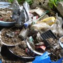 평곡3리 이미지