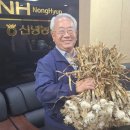 신녕농업협동조합 이미지