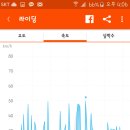 낙타식당 네이버블로그