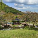 백동무궁화동산 이미지