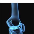 서울제일보조기 이미지