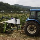 보성사료 이미지