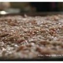 강경젓갈시장 이미지