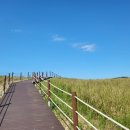 백사장펜션 이미지