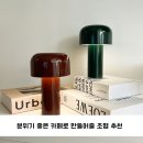베루아 | 분위기 좋은 카페로 만들어줄 조명 추천