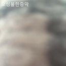 오성불한증막 네이버블로그