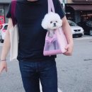 그루밍조이 이미지