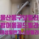 대성빌라 | ✅울산 동구 골드빌라보일러 귀뚜라미보일러에서 대성보일러 및 분배기교체후기
