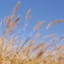 길목다방 이미지