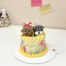 수제간식손수 | [대구] 댕수무강 / 대구 강아지 케이크 맞춤 제작 가능한 애견 수제 간식 전문점