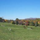 우리들의자리 이미지