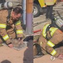 지곡119안전센터 이미지