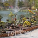 부여육종 이미지