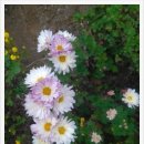 성림농원 이미지