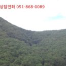 내서읍143 이미지