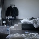 아름다운 애견 이미지