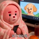 문벨리 이미지
