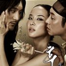 후궁 Daum카페