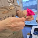 원데이 어버이날 프리저브드 카네이션 유리돔 만들기 | [힐링캠프 후기] 어버이날 특별한 선물 - 프리저브드 플라워 카네이션💐