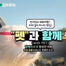 끼리끼리