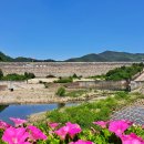 신화랑풍류숲길 이미지