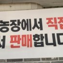 창평한우암소고깃집 이미지