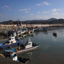 설도항 Daum카페