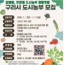 연우농장 | 🌱 도심 속 푸른 쉼표, 구리시 도시농부 체험텃밭 이야기