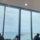 봉포머구리집 | 속초 맛집 물회 현지인이 찾는 곳 봉포머구리집 횟집 맛 후기 &amp; 주차